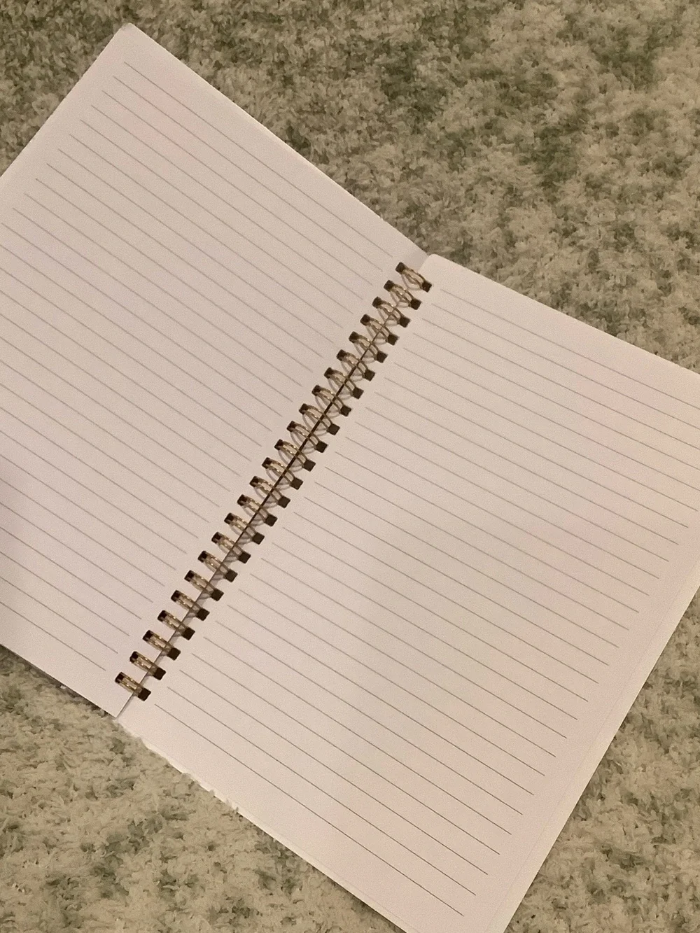 Spiral-Bound Mountain Lake Camping Travel Notebook Journal NWT ~75 lined pages